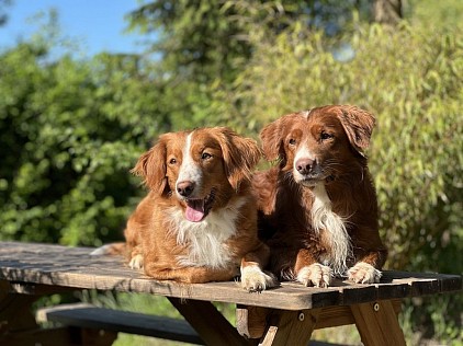 Macey & TJ