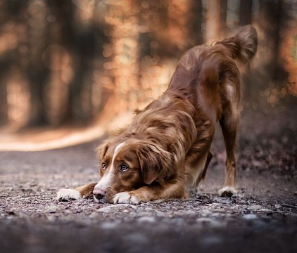 Glenn mit 1.5 Jahren