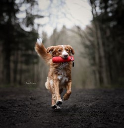 https://www.lu-na-fotografie.ch/