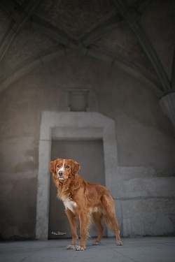 Portfolioshooting Solothurn